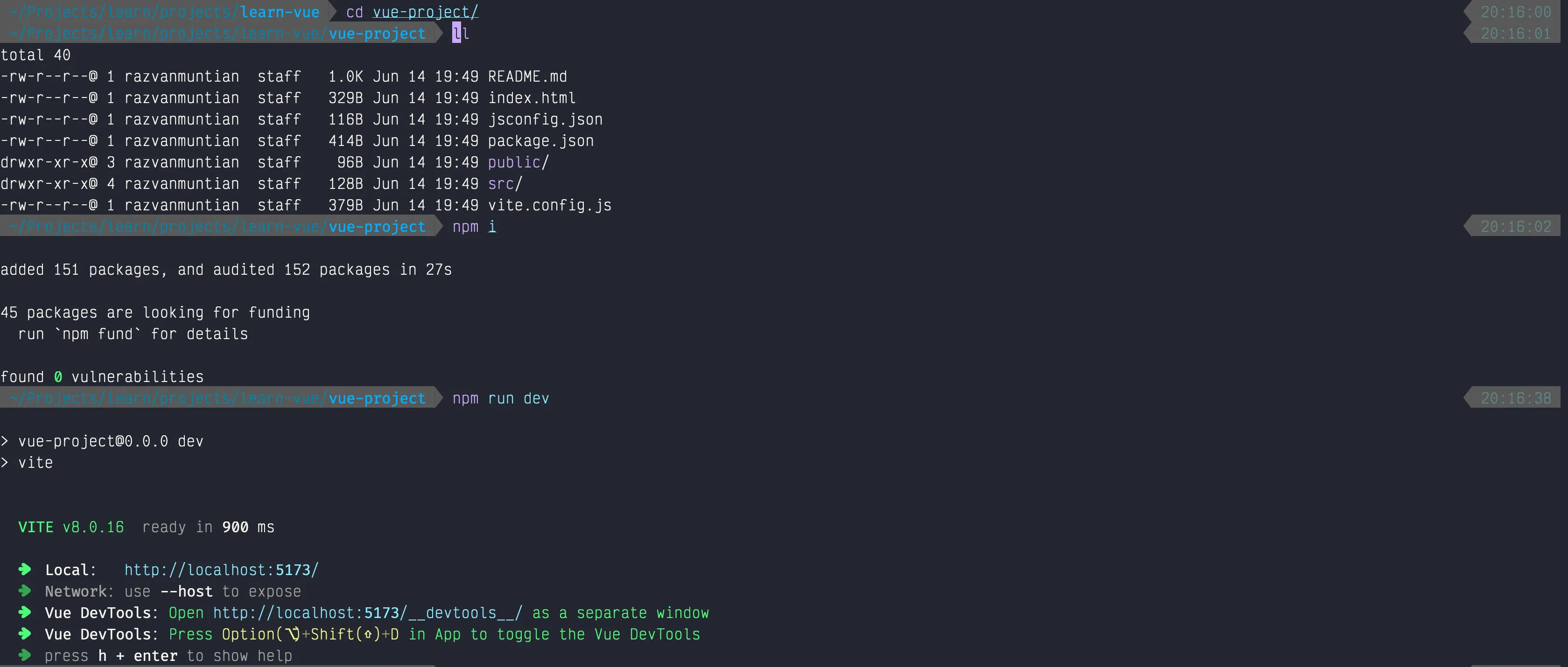 Learning Vue Screenshot 2